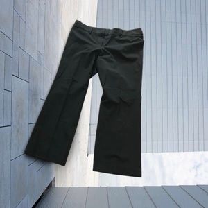 LOFT Petites Black Pants Size 16P